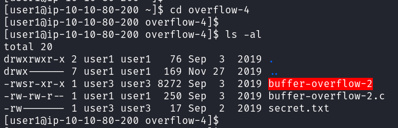 TryHackMe Buffer Overflows — Task 9